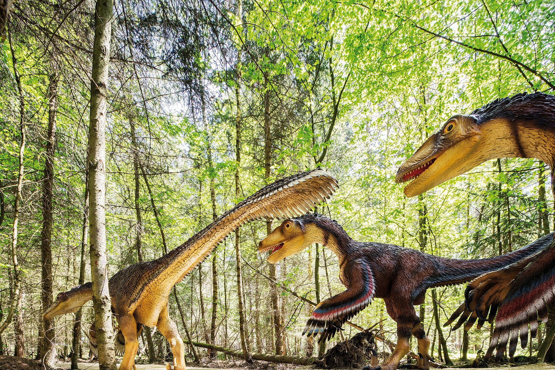 Dinopark Altmuehltal in